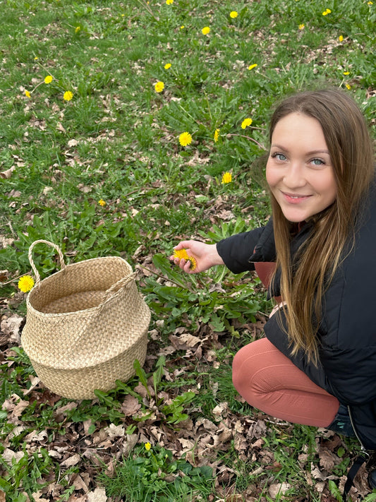 Why Foraging Wild Herbs is Worth It – Herbal Wisdom, Practical Advice, and a Sacred Connection