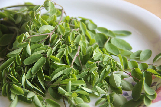 Moringa: The Miracle Tree – Health Benefits & Fascinating Facts