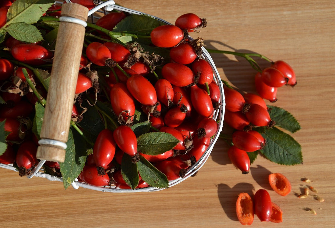 Rosehips: A Herbal Powerhouse for Immunity, Skin & Vitality (+ Recipe for Wild Apple & Rosehip Vinegar)