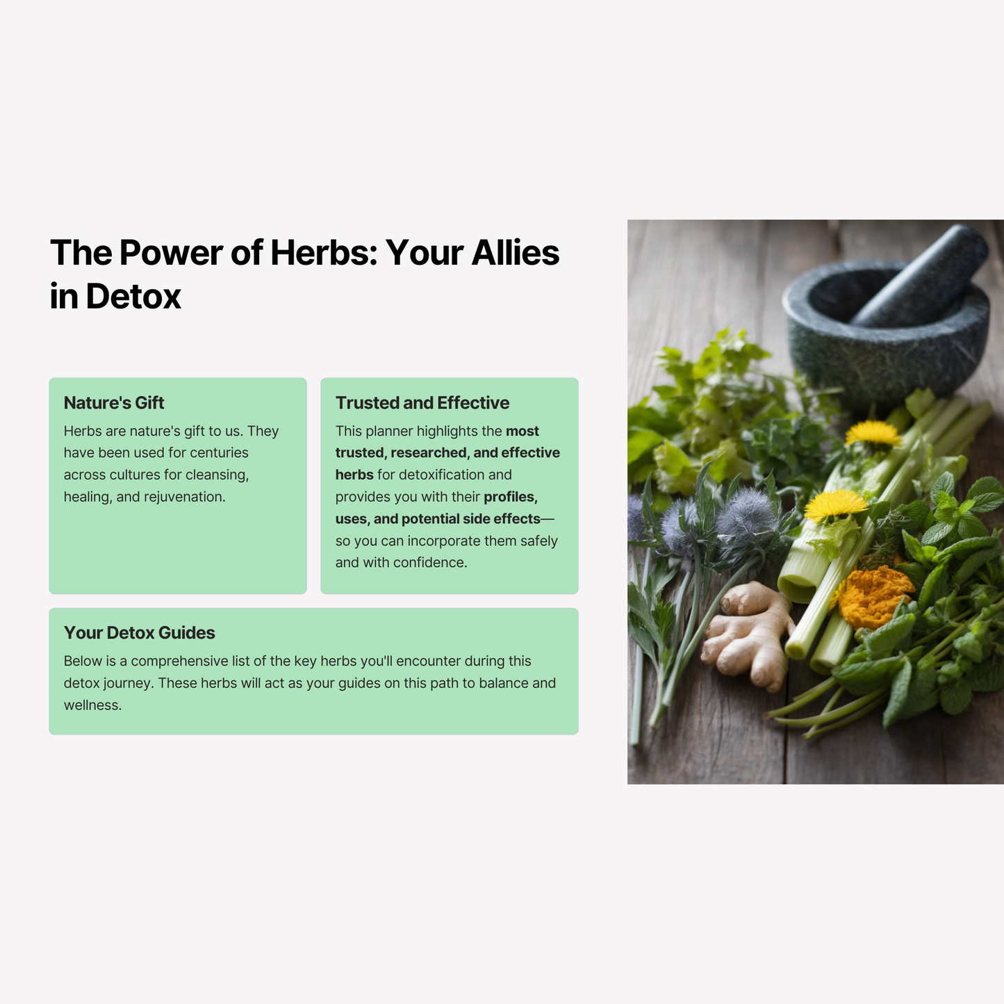 5-Day Herbal Detox Planner for Liver Support, Immunity & Energy Boost