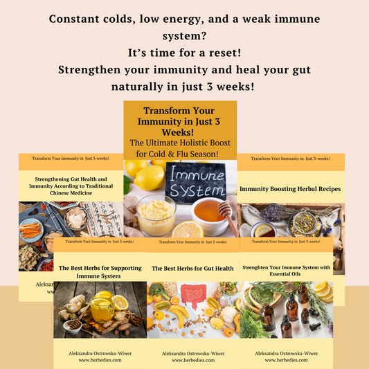 Transform Your Immunity in Just 3 Weeks – Natural Gut & Immune Health Reset