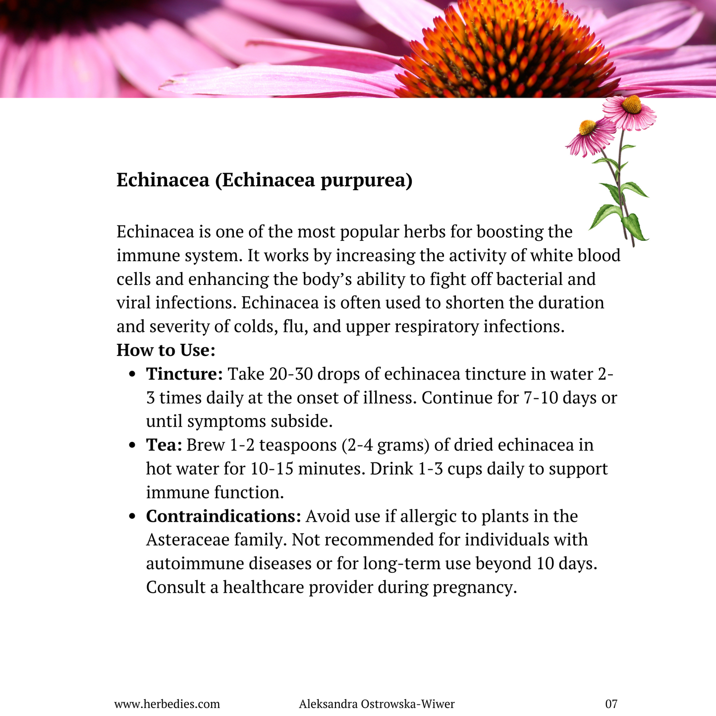 Transform Your Immunity in Just 3 Weeks – Natural Gut & Immune Health Reset