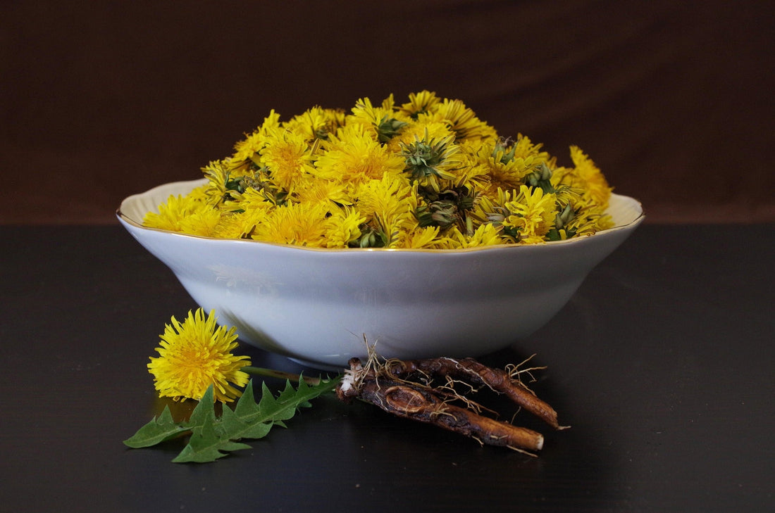 Your Liver Has an Important Job During Perimenopause. Here's Where Dandelion Root Comes In.