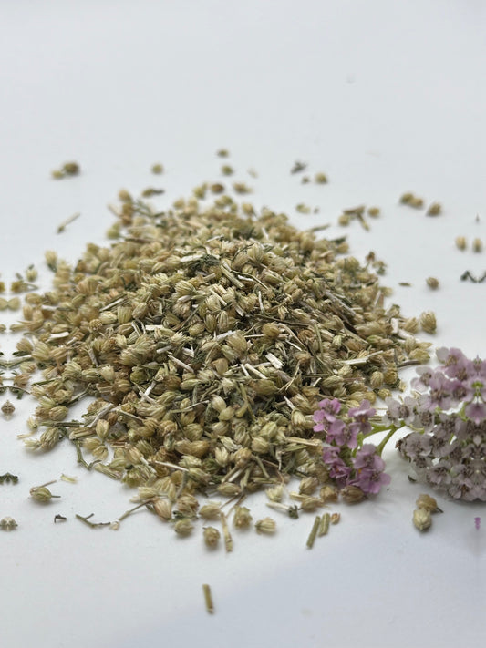 Organic Yarrow Herb (Achillea millefolium L.)