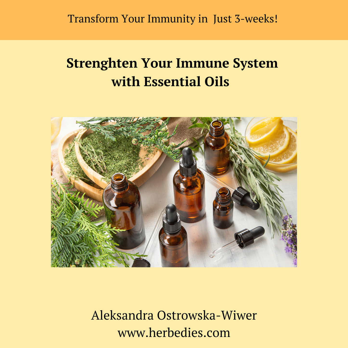 Transform Your Immunity in Just 3 Weeks – Natural Gut & Immune Health Reset