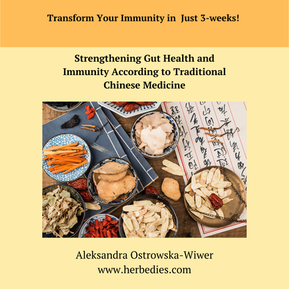 Transform Your Immunity in Just 3 Weeks – Natural Gut & Immune Health Reset