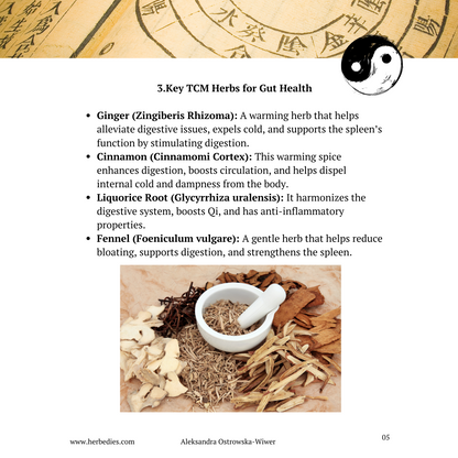 Transform Your Immunity in Just 3 Weeks – Natural Gut & Immune Health Reset