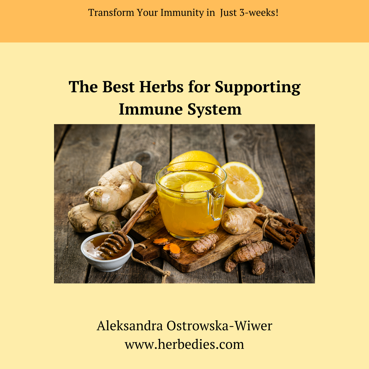 Transform Your Immunity in Just 3 Weeks – Natural Gut & Immune Health Reset