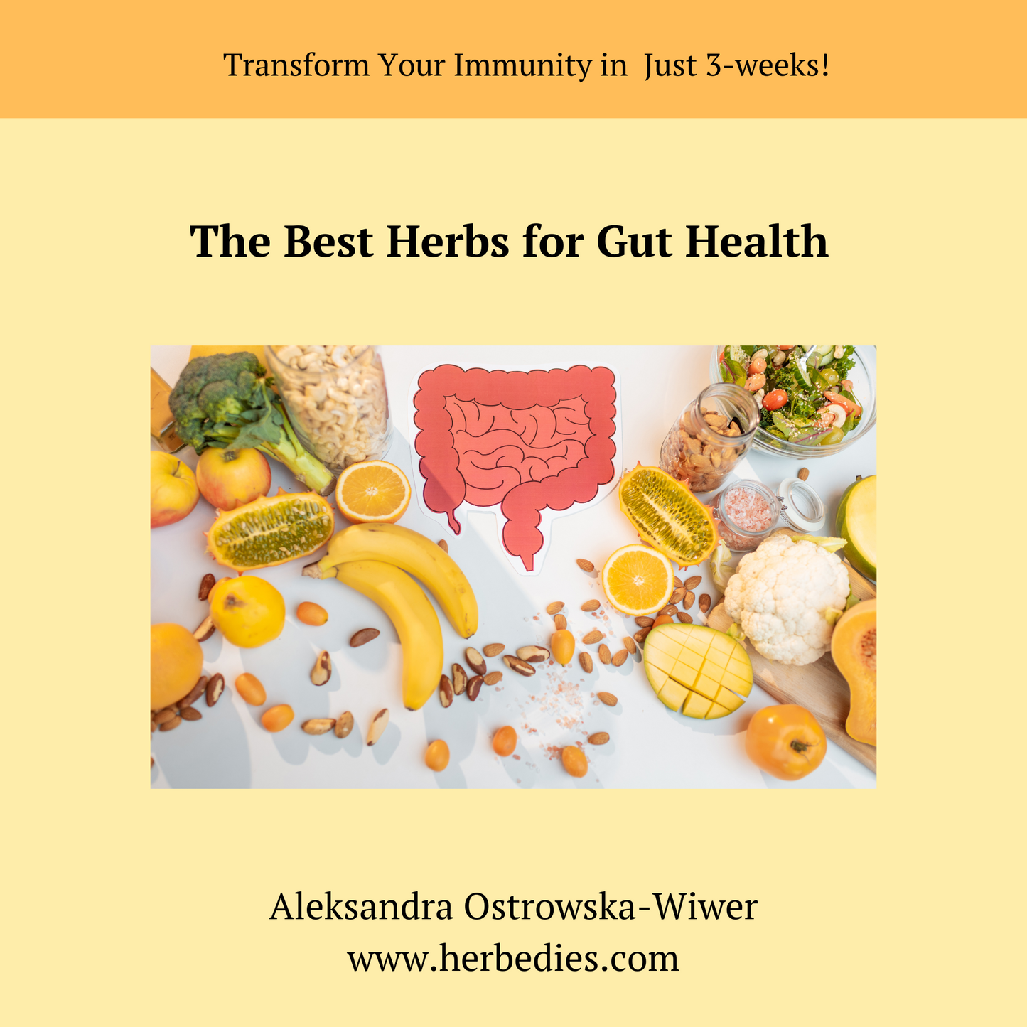 Transform Your Immunity in Just 3 Weeks – Natural Gut & Immune Health Reset