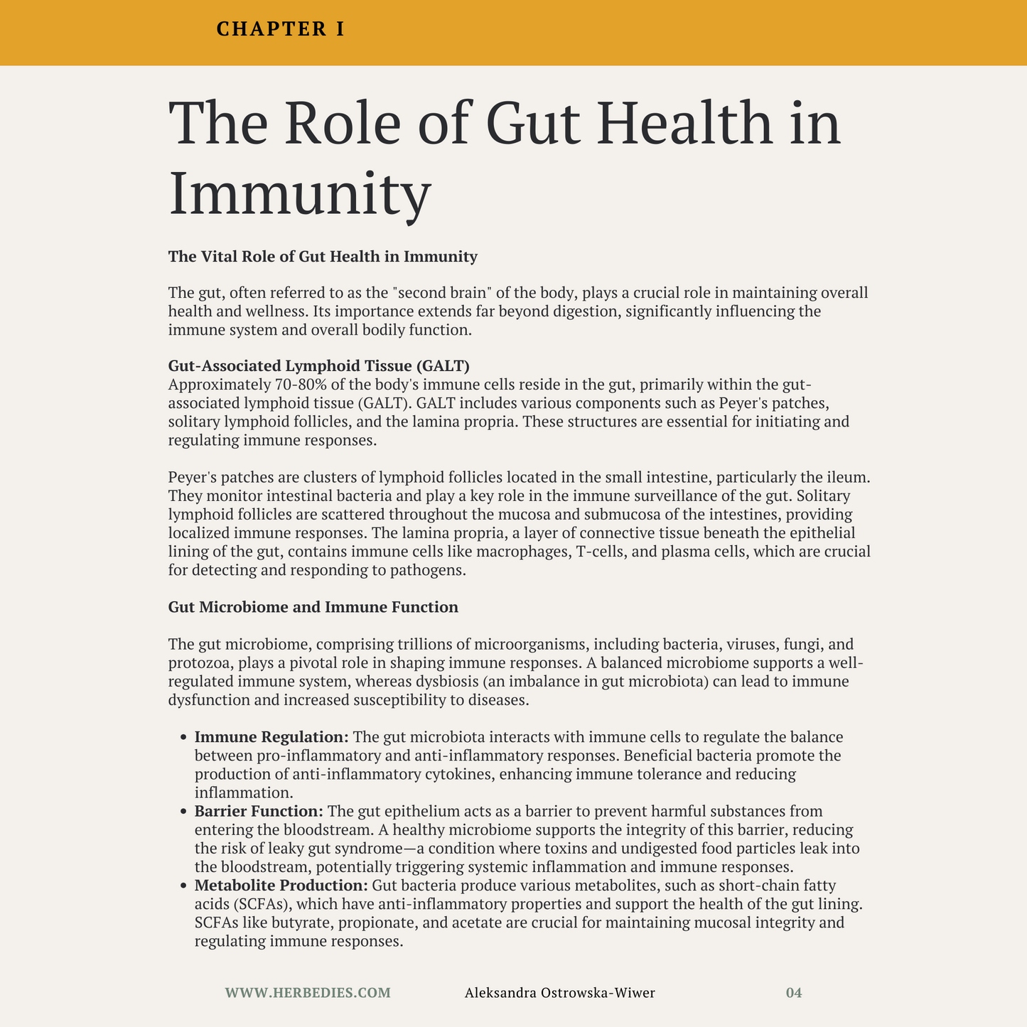Transform Your Immunity in Just 3 Weeks – Natural Gut & Immune Health Reset